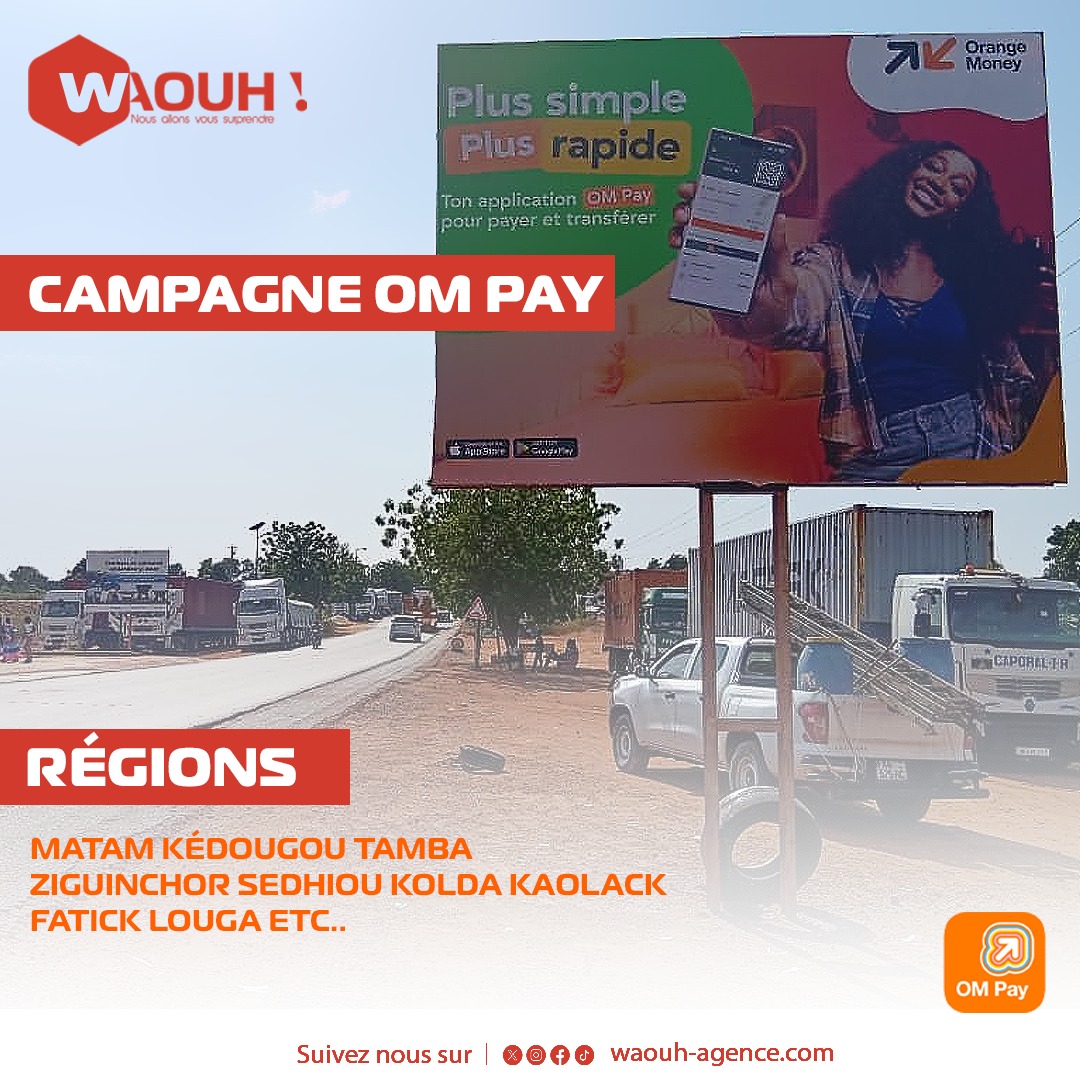 WhatsApp Image 2025-11-13 at 11.25.30 (1)